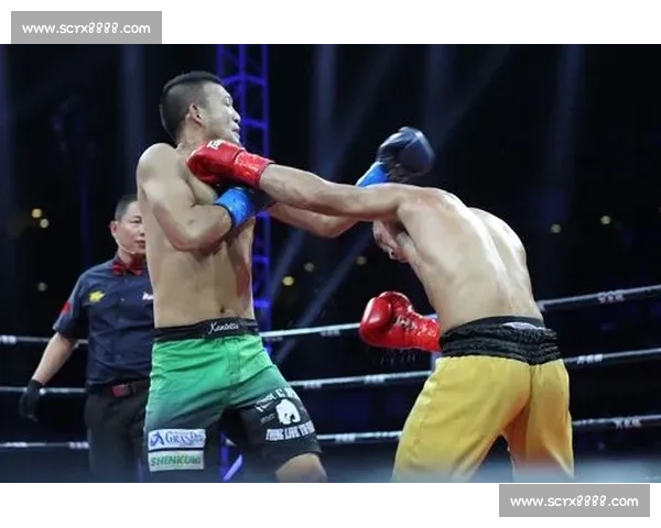 武林风巅峰之战播求对决一龙荣耀与争议交织的世纪较量全民关注之夜 武林风巅峰之战播求对决一龙荣耀与争议交织的世纪较量全民关注之夜