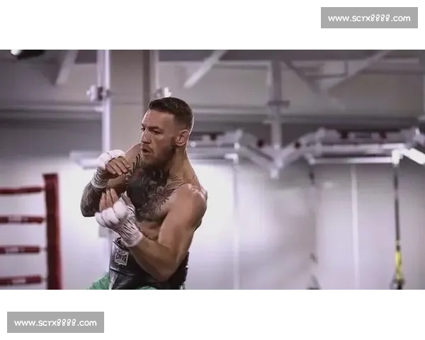 梅瑟威挑战嘴炮巅峰对决 谁将成为拳坛新王者的终极较量