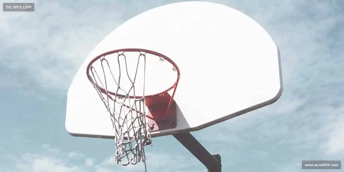 为什么选择我们